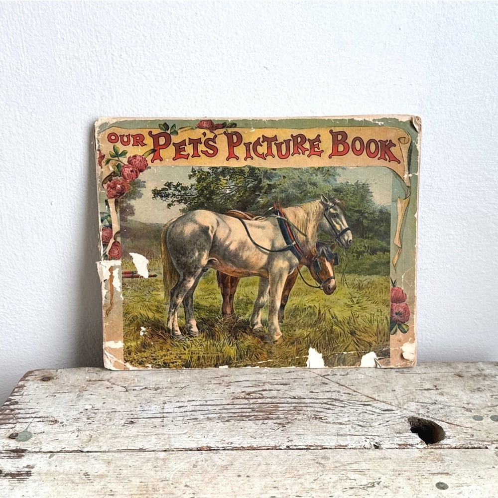 Antique McLoughlin Bros Our Pets Picture Book Victorian Animal Illustrations